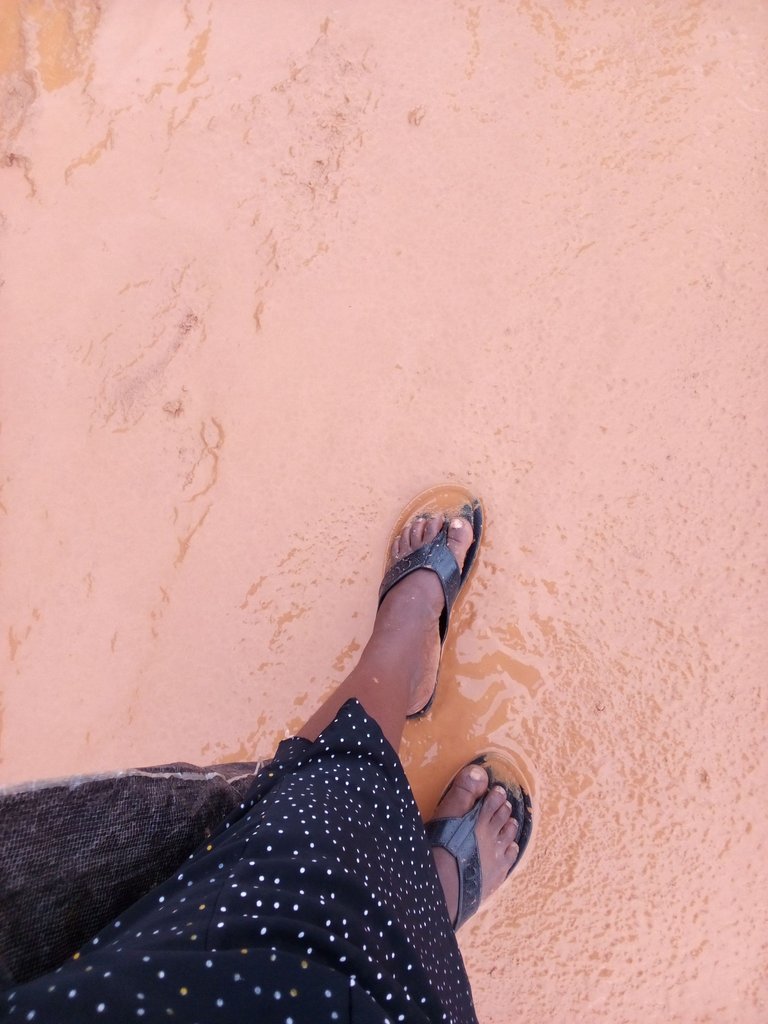 Learning To Walk Around It, What Will Be Will Be.