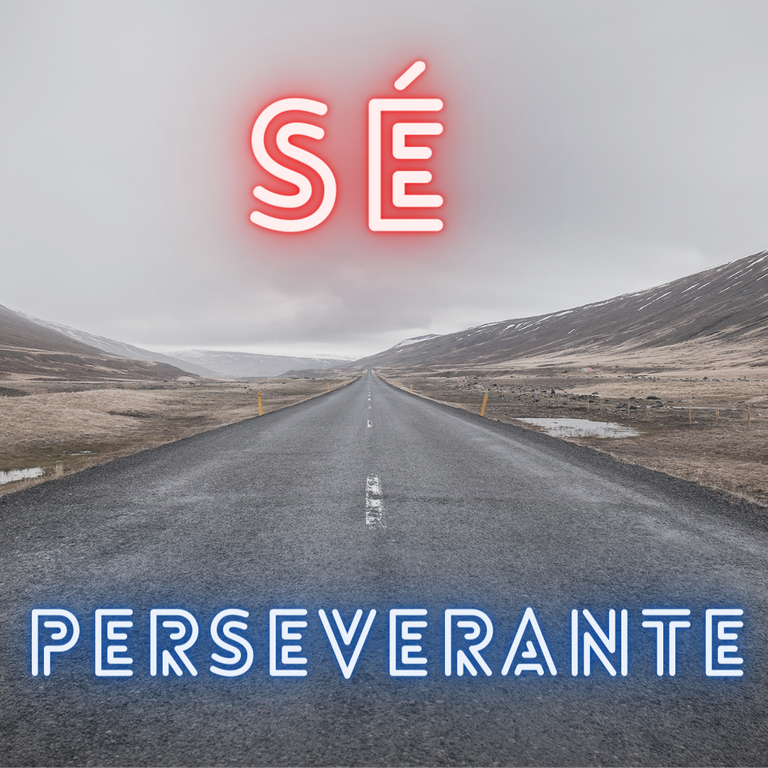 Sé Perseverante.png