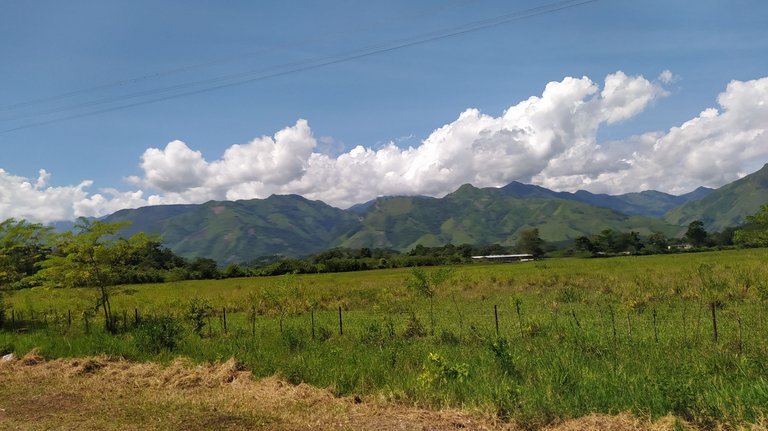 paisaje con montaña.jpg