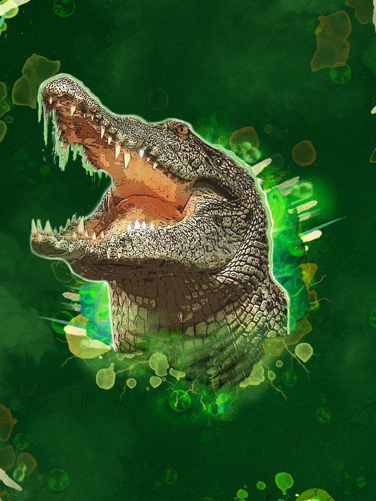 jacare.jpg