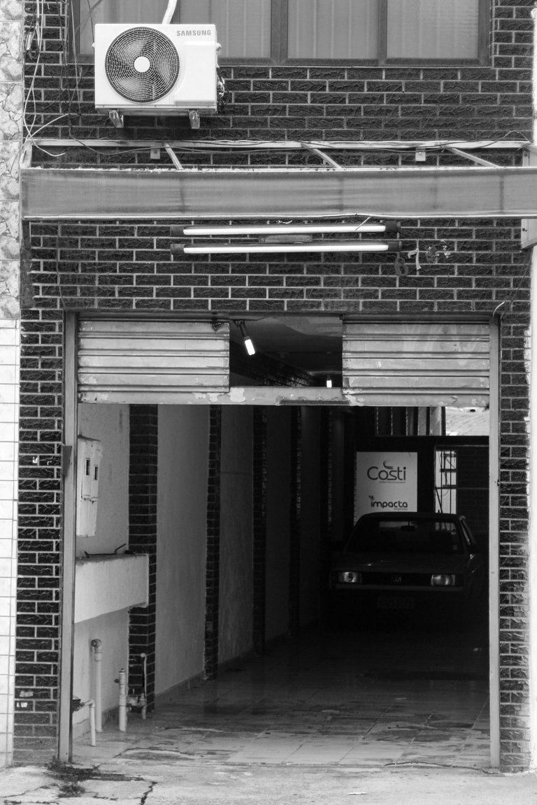 _MG_3204.JPG