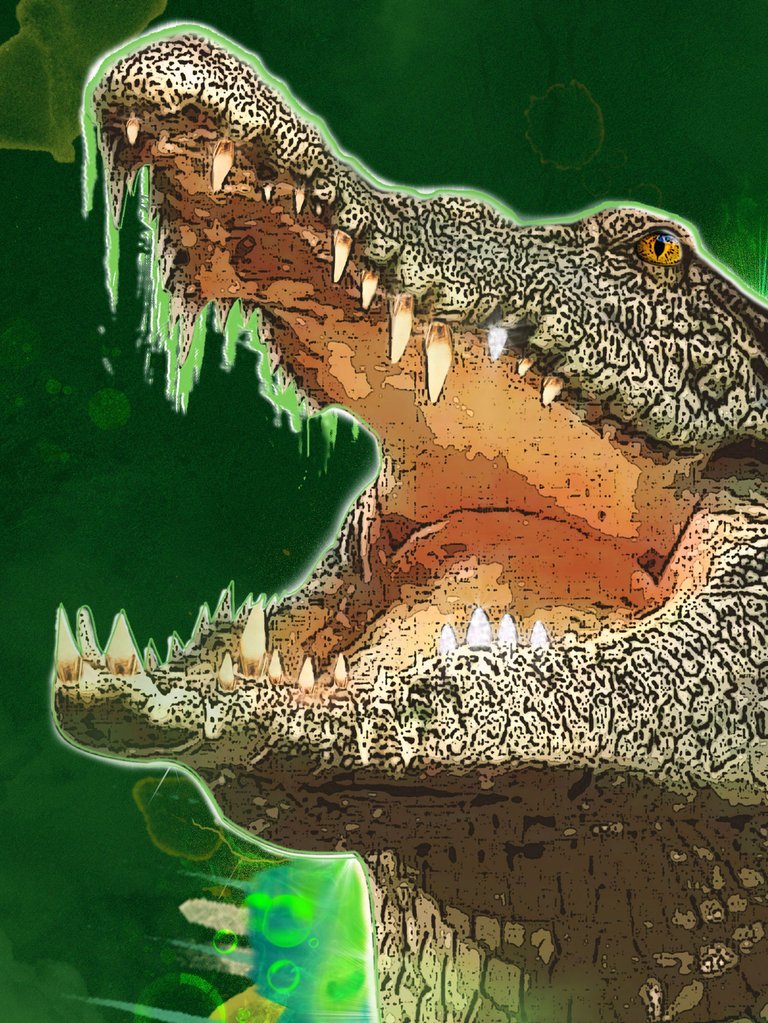 cccc.jpg