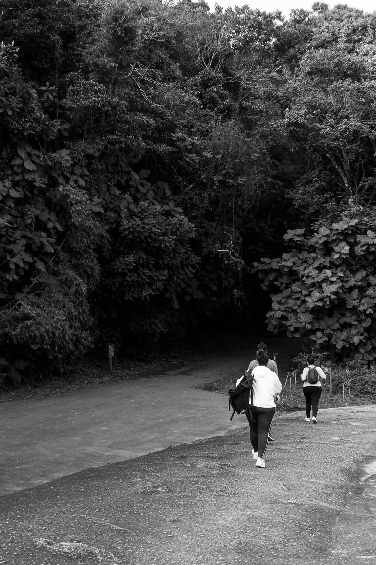 _MG_4021.JPG