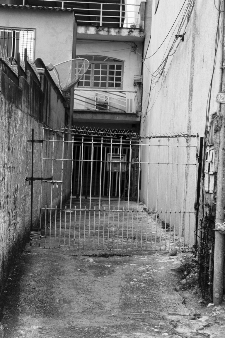 _MG_3050.JPG