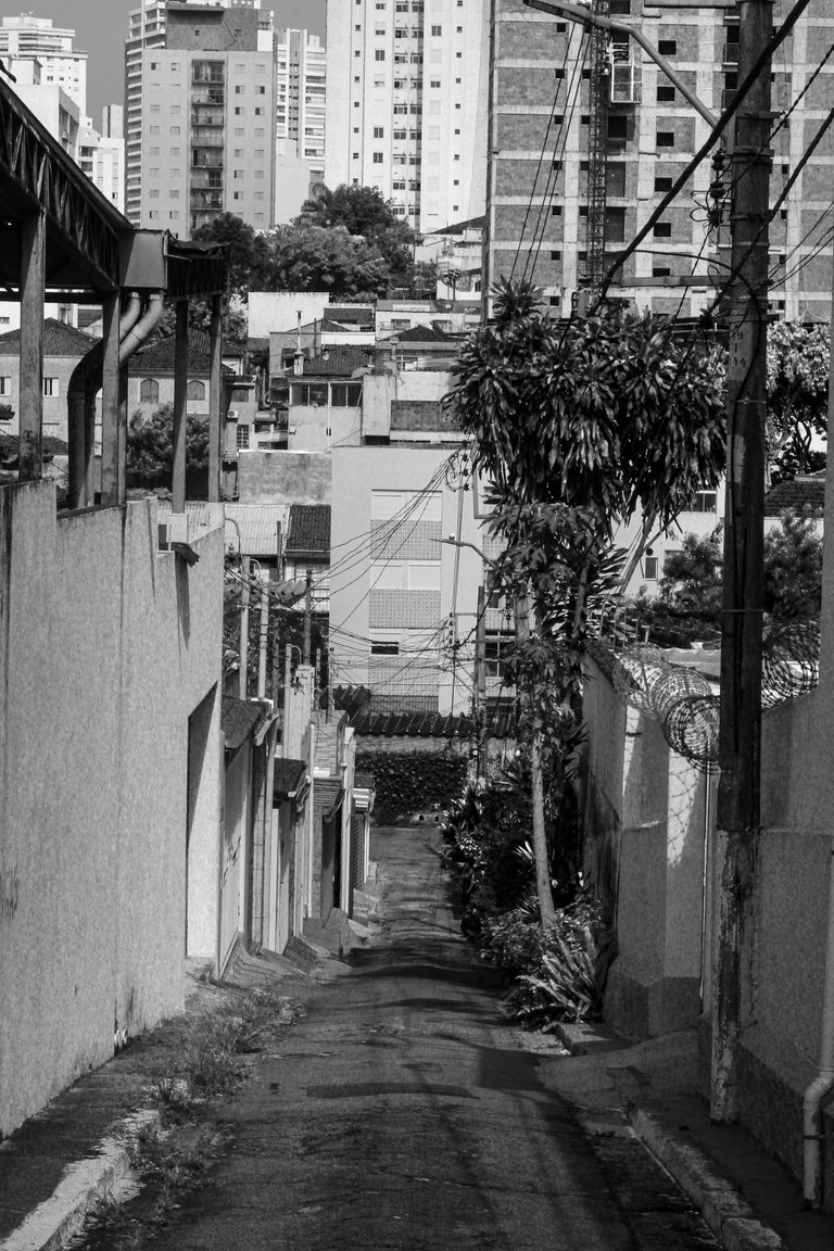 _MG_2786.JPG