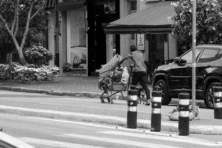 _MG_2749.JPG