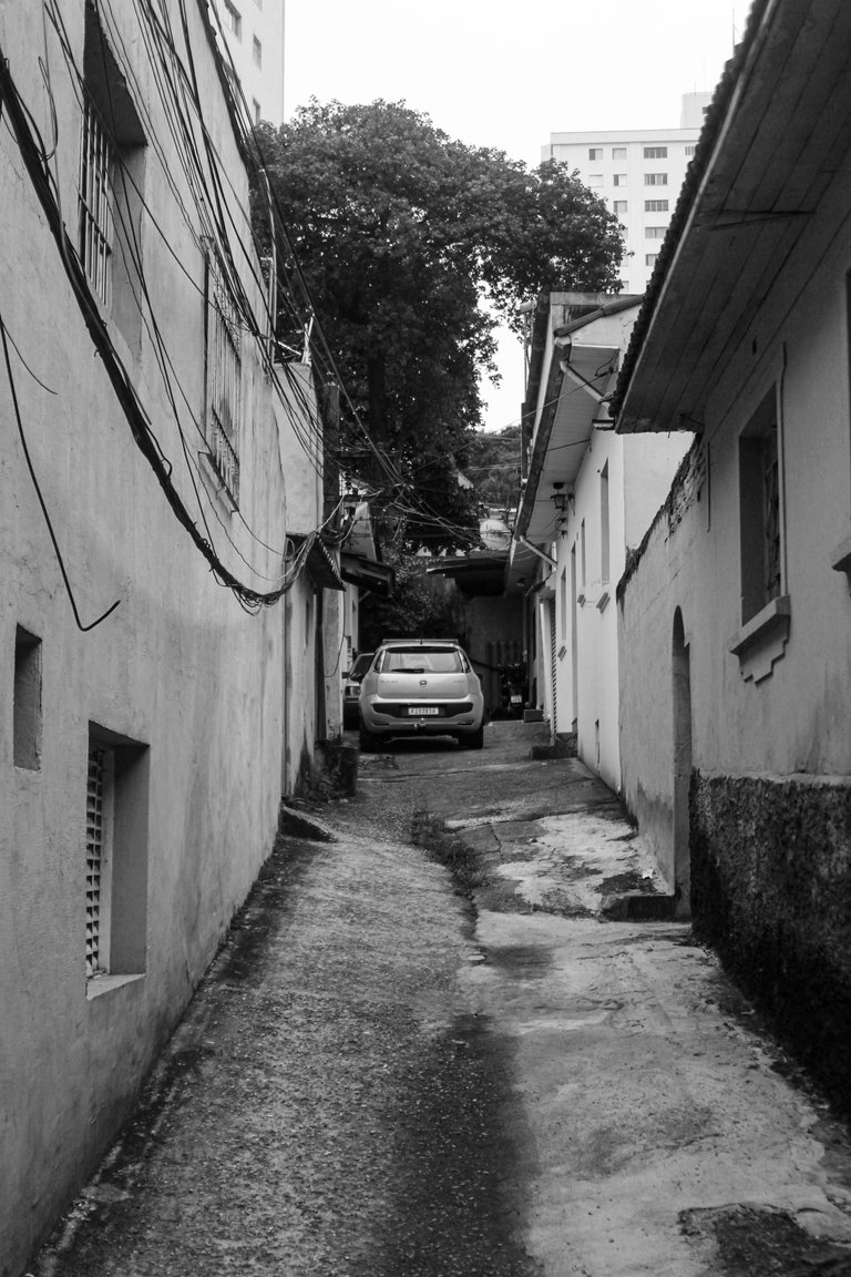 _MG_3066.JPG