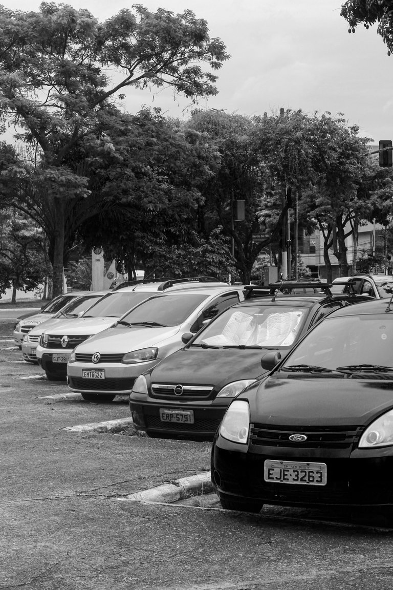 _MG_3324.JPG