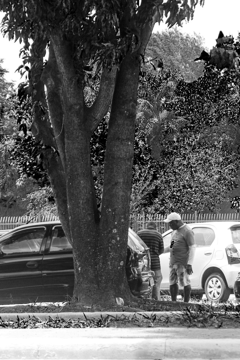 _MG_3202.JPG