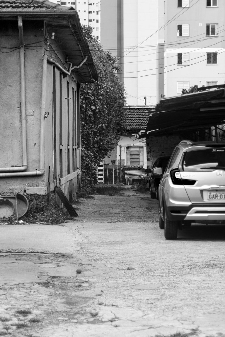 _MG_3107.JPG