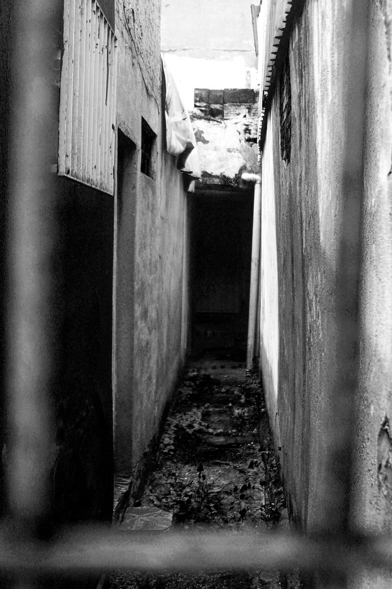 _MG_3205.JPG