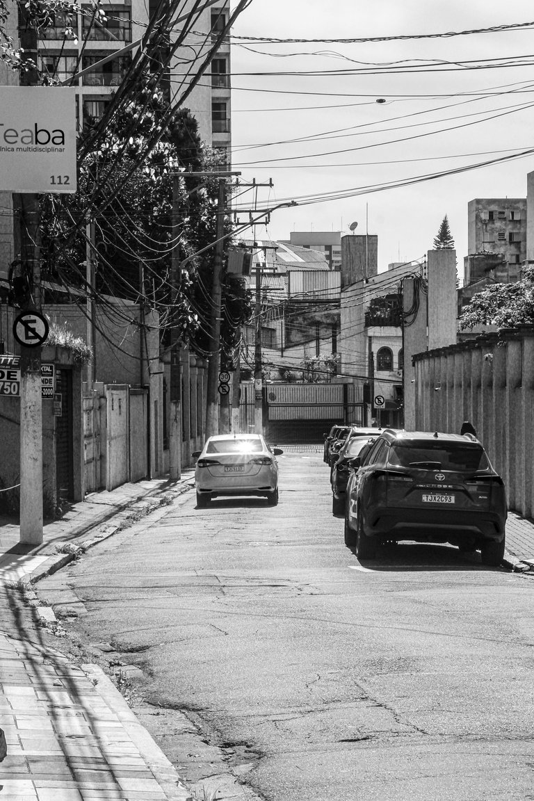 _MG_3313.JPG