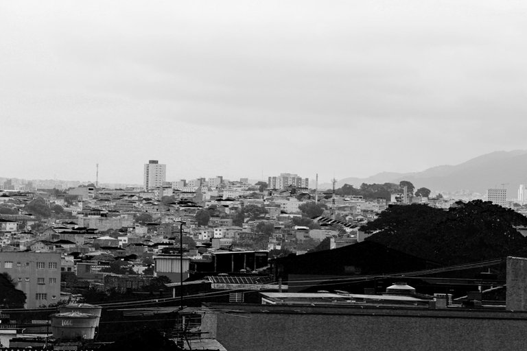 _MG_3116.JPG