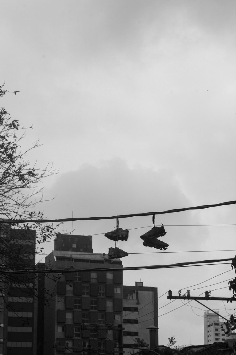 _MG_3078.JPG