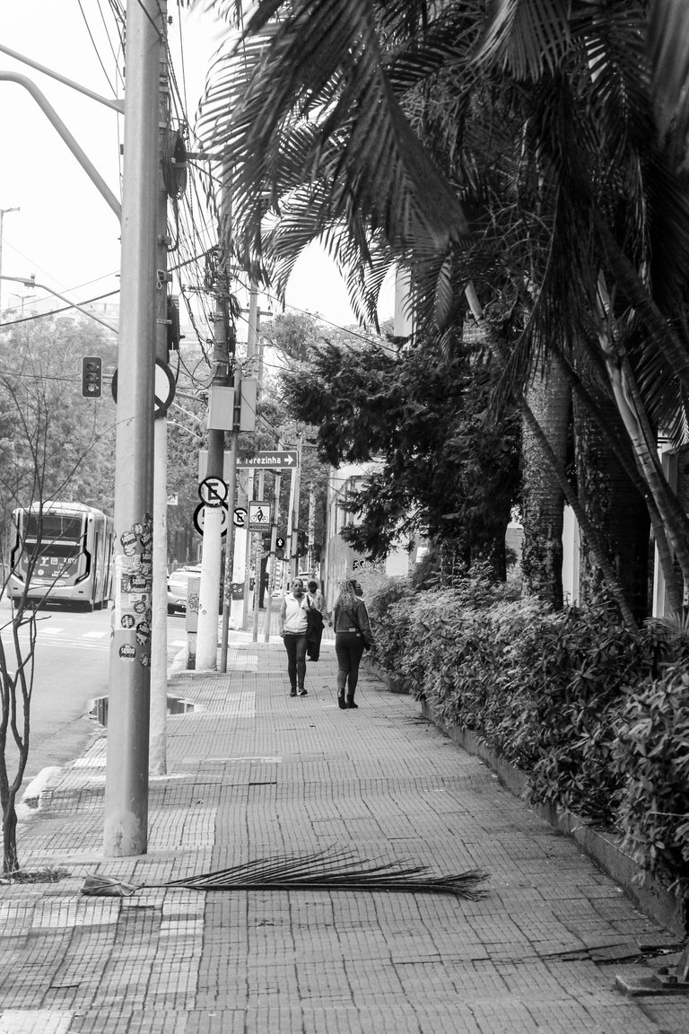 _MG_2767.JPG