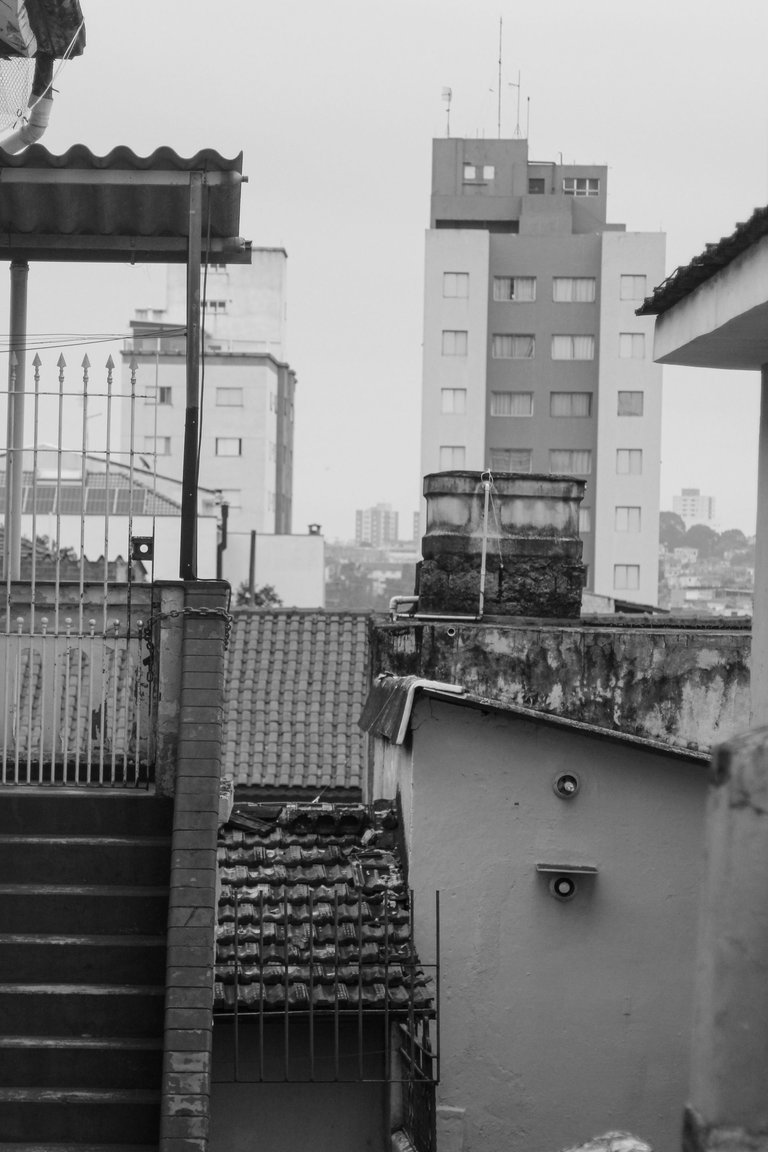 _MG_3051.JPG