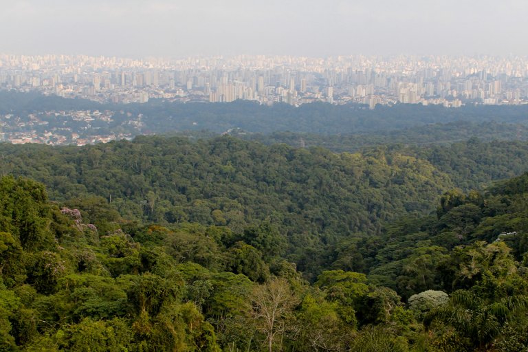 _MG_4014.JPG