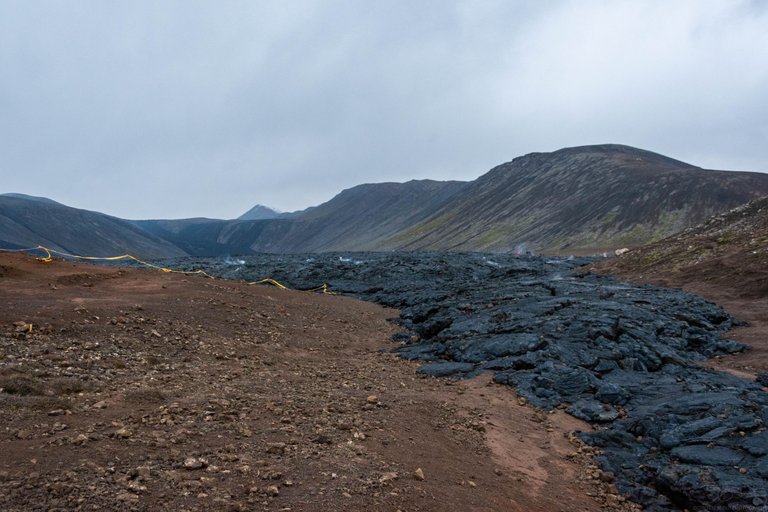 DSC_0296.jpg