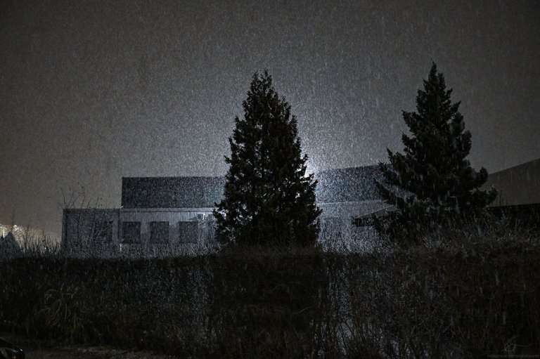 FRS_1043.JPG