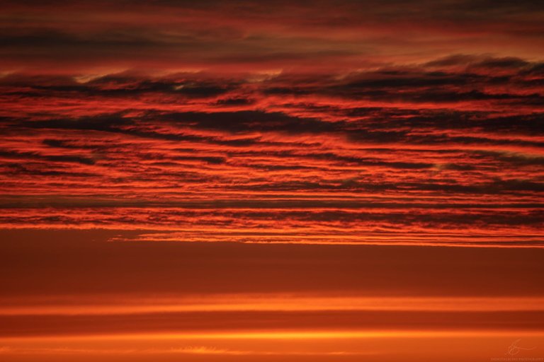 DSC_0110.jpg