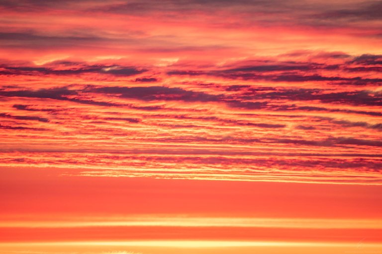 DSC_0109.jpg