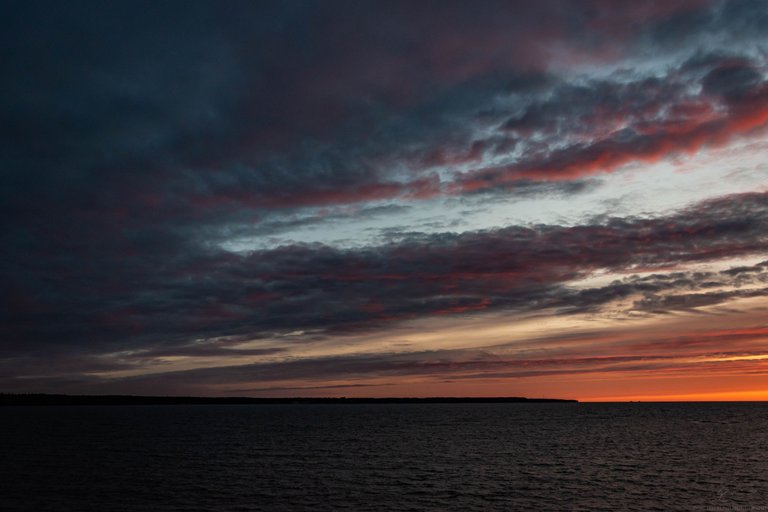 DSC_0107.jpg