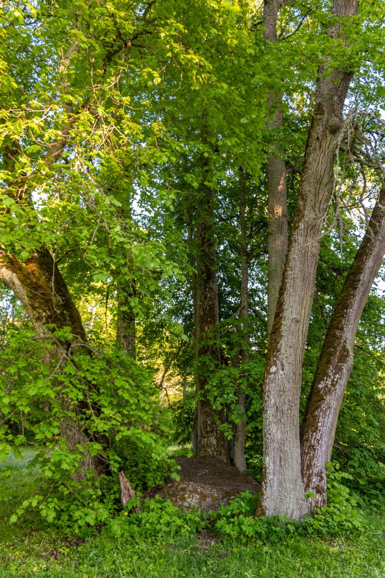 DSC_0154.JPG