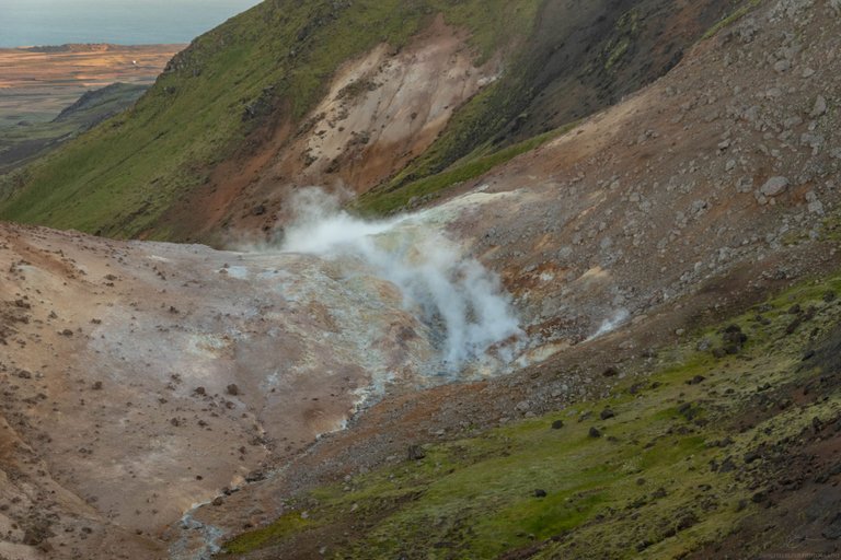 DSC_0197.jpg