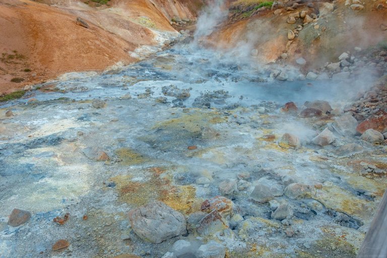 DSC_0202.jpg