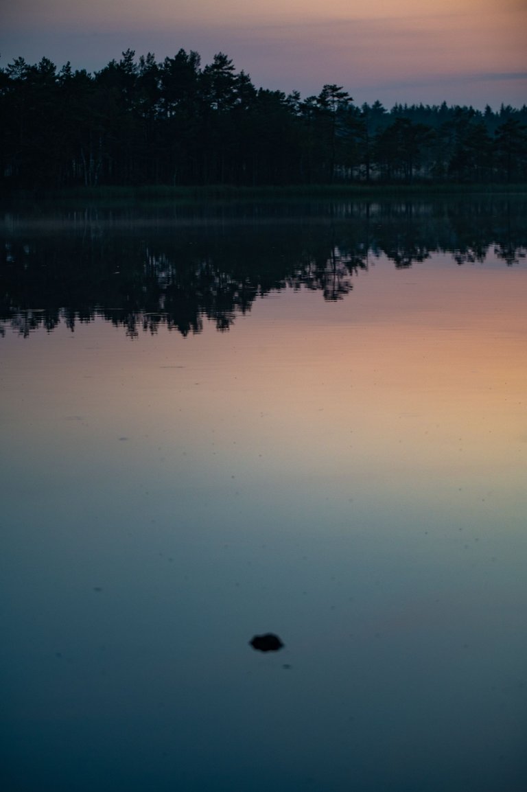 FRS_6081.jpg