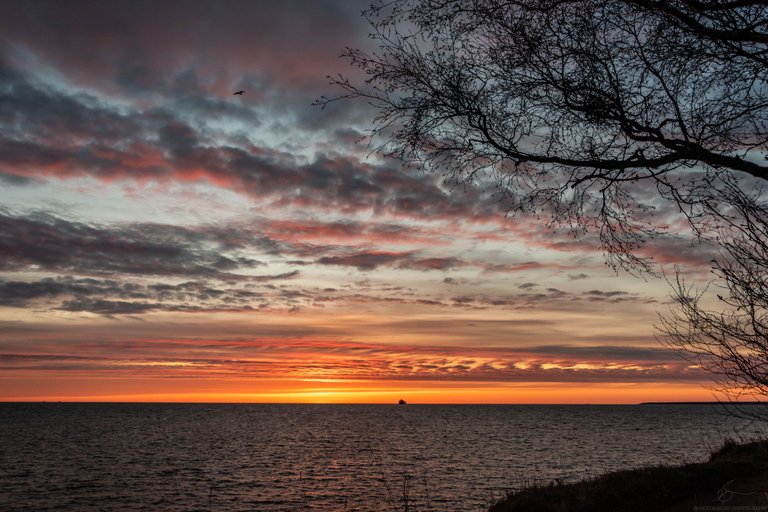 DSC_0105.jpg