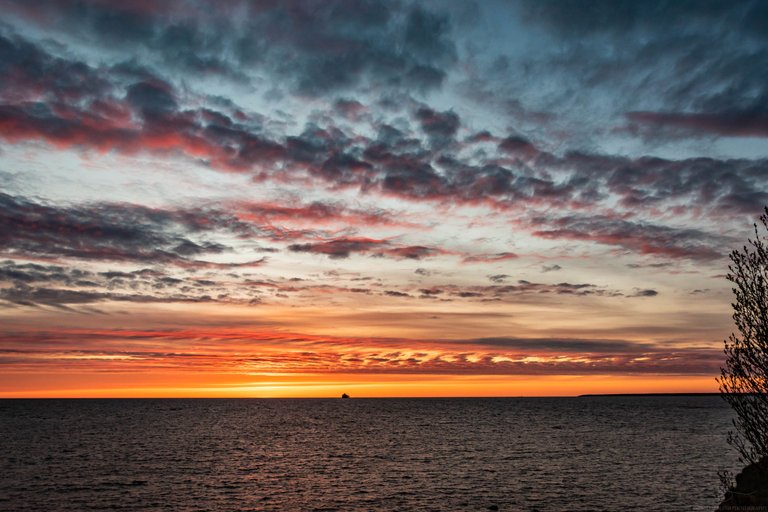 DSC_0108.jpg