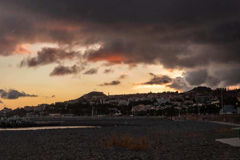 DSC_0493.jpg