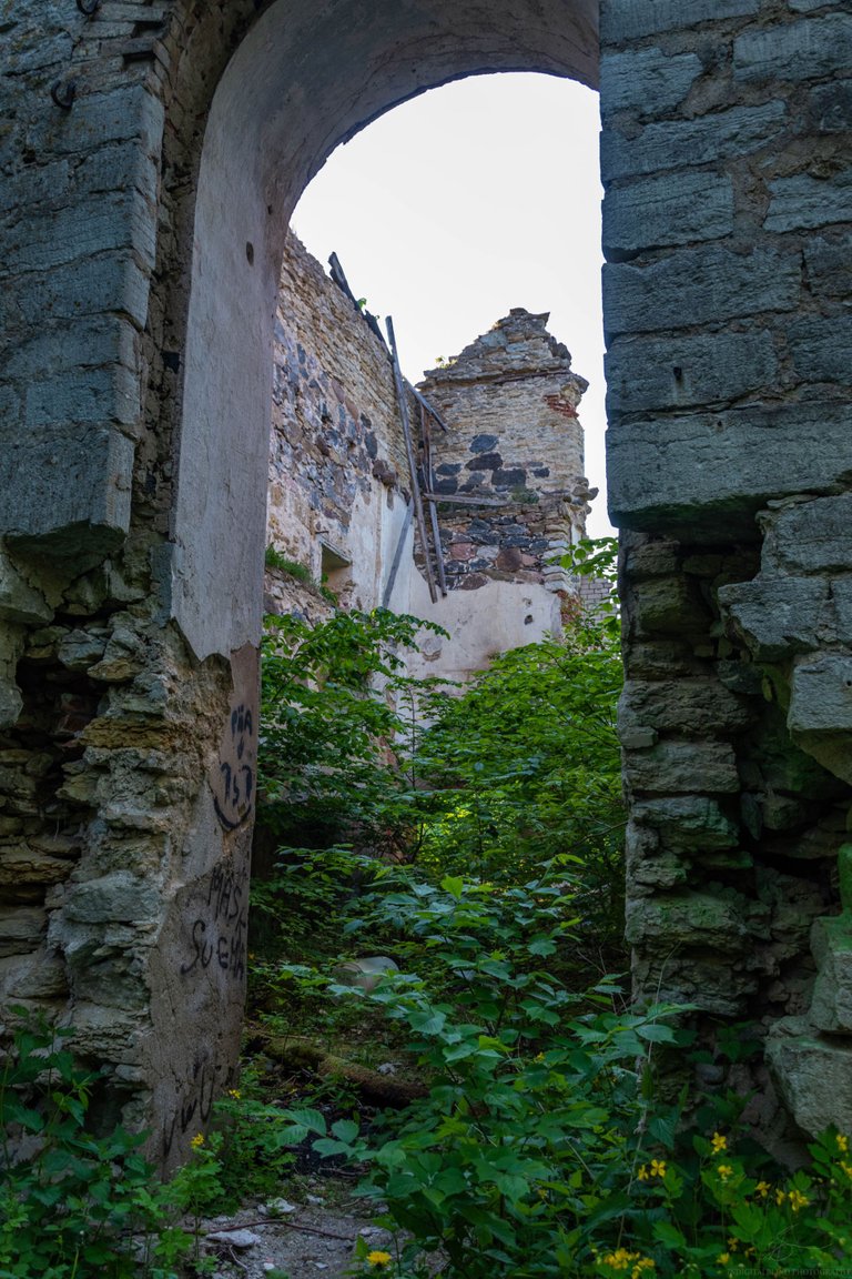 DSC_0144.JPG