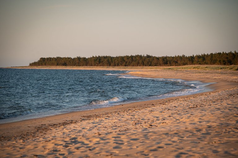 FRS_7753.jpg
