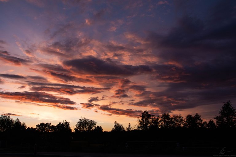 DSC_0192.jpg