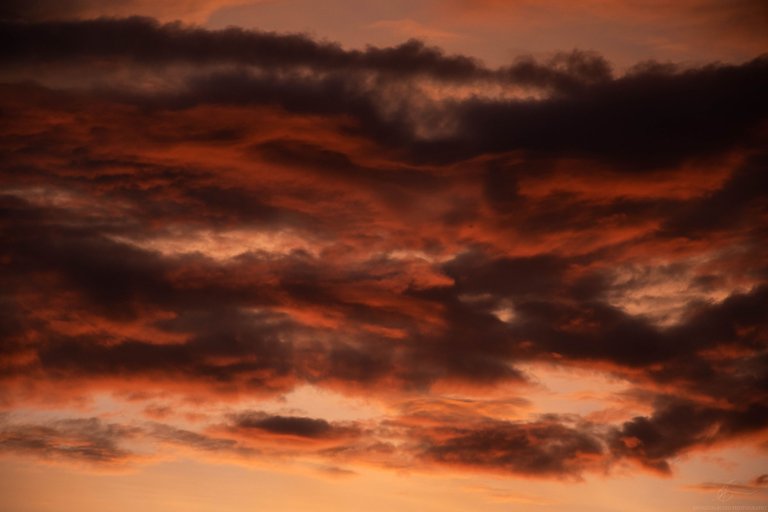 DSC_0193.jpg