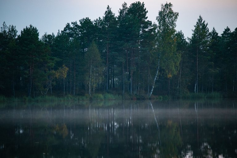 FRS_6080.jpg