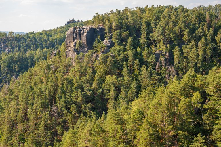 DSC_0105.jpg