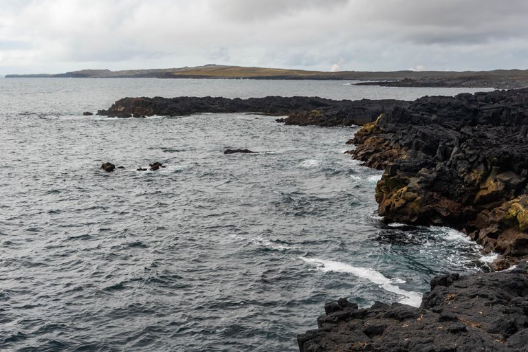 DSC_0309.jpg