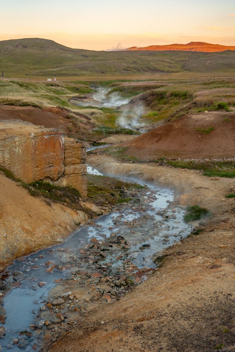DSC_0205.jpg