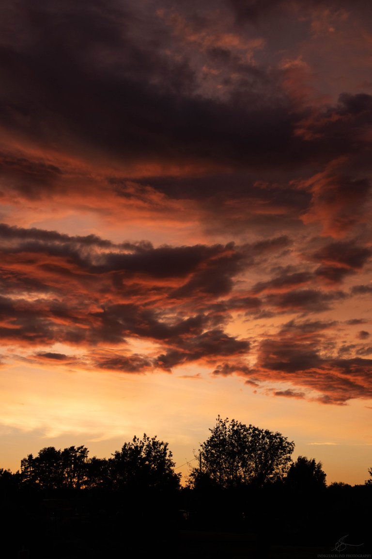 DSC_0194.jpg