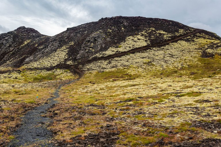 DSC_0313.jpg