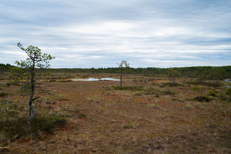 FRS_7638.jpg