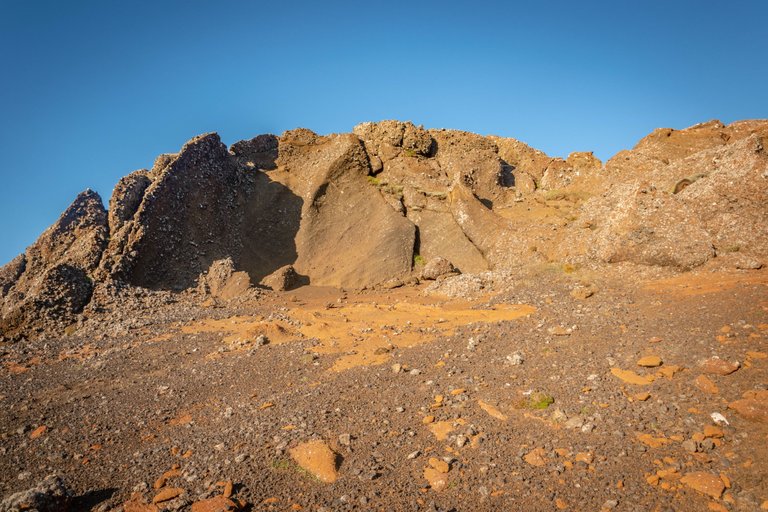 DSC_0174.jpg