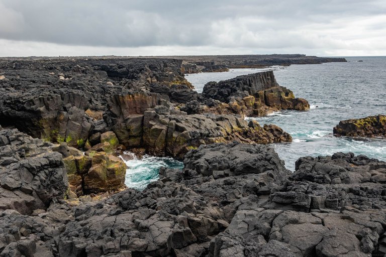 DSC_0307.jpg