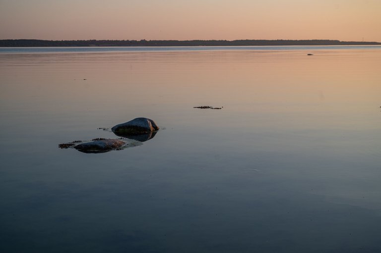 FRS_5180.jpg