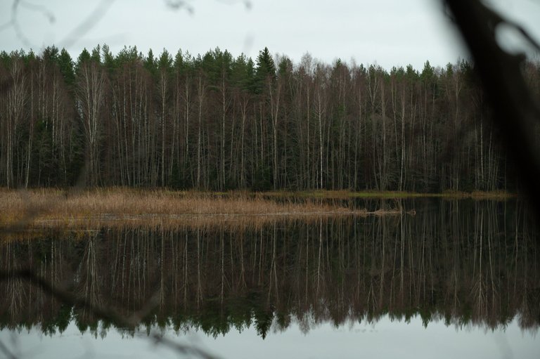 FRS_6756.jpg