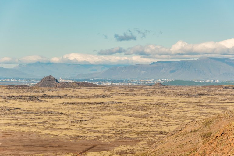 DSC_0132.jpg