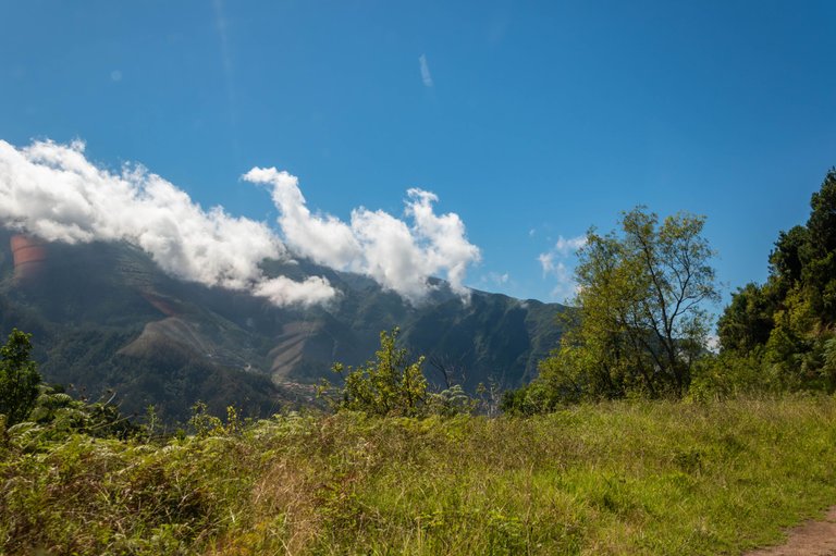 DSC_0451.jpg